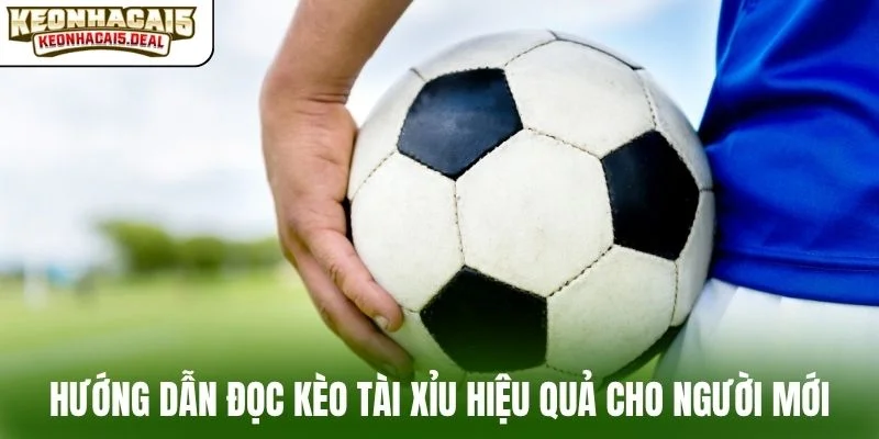 Hướng dẫn đọc kèo tài xỉu hiệu quả cho người mới