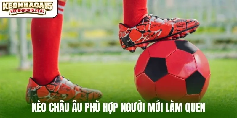 Kèo châu Âu phù hợp người mới làm quen
