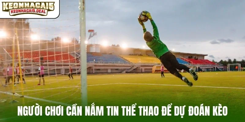 Người chơi cần nắm tin thể thao để dự đoán kèo