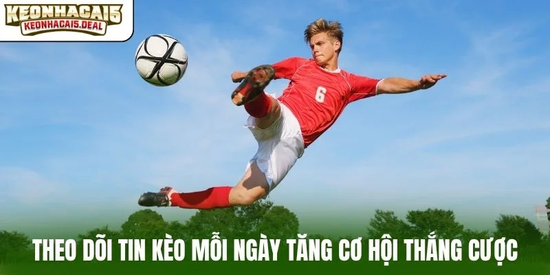Theo dõi tin kèo mỗi ngày tăng cơ hội thắng cược