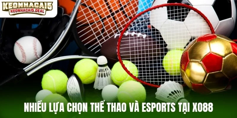 Nhiều lựa chọn thể thao và eSports tại XO88